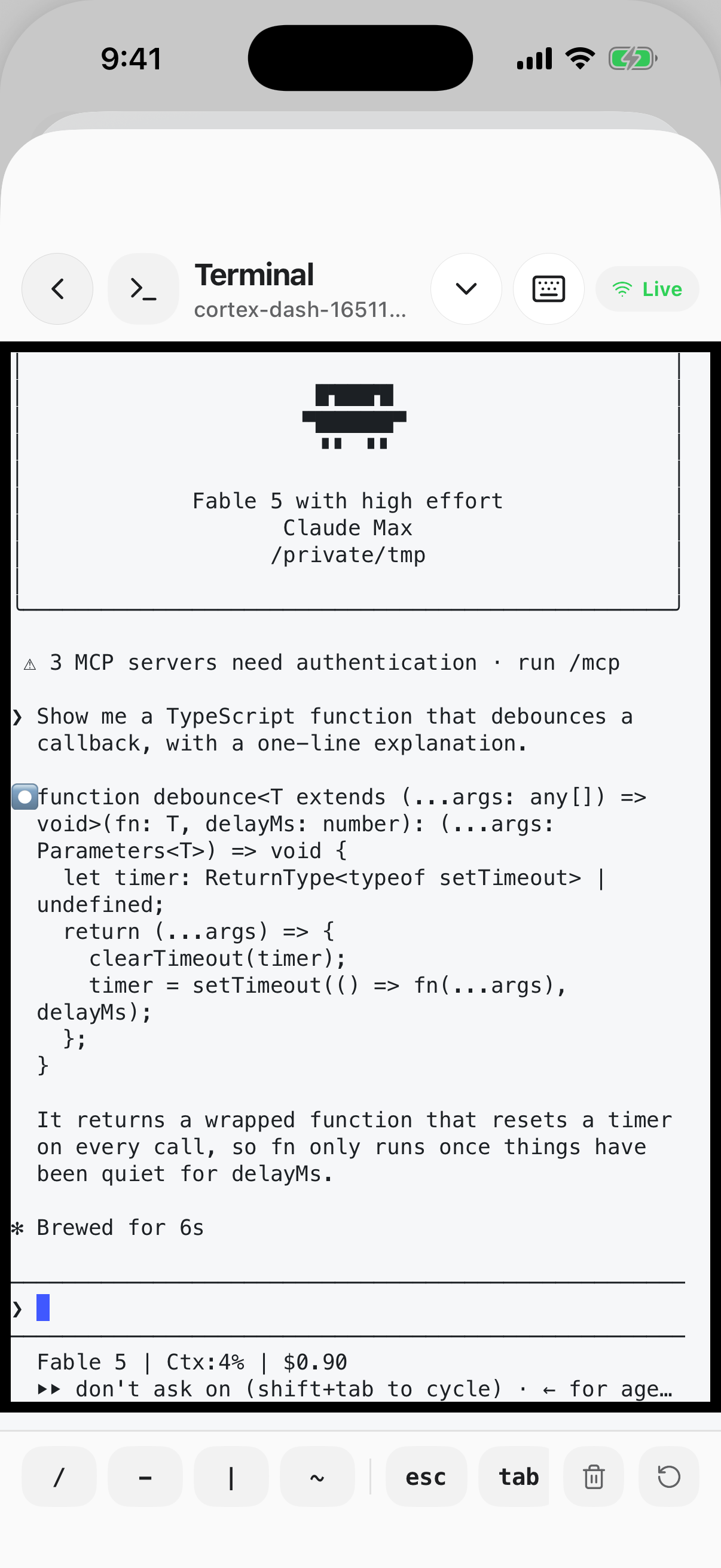 A live xterm terminal session on iPhone